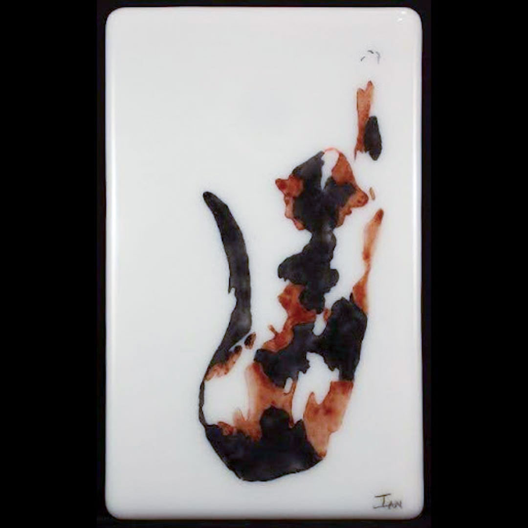 Calico cat bainbridge clearance